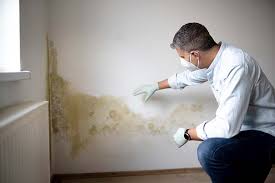 Mold Documentation for Insurance Claims in Montgomeryville, PA